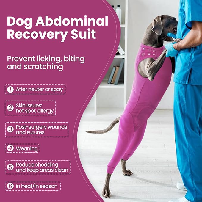 Nanaki Dog Wound Care Shirt, Leg Sleeves to Stop Licking Rear Leg and Abdomen, Surgery Suit for Female Spay, Onesie for Surgery Female, Surgical Recovery Suit Wound Heal Clothes
