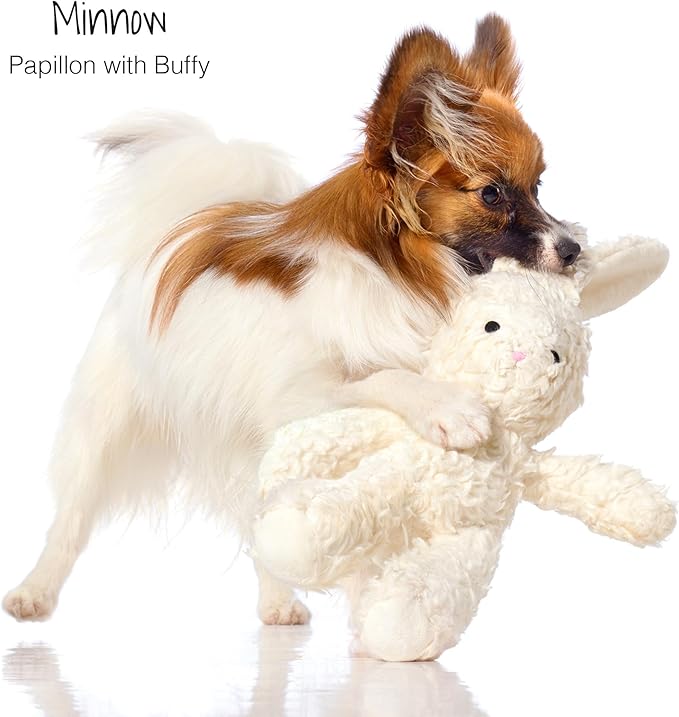 Plush Durable Cotton Dog Toys with Coconut Fill for All Pet Breeds, Bunny, One Size
