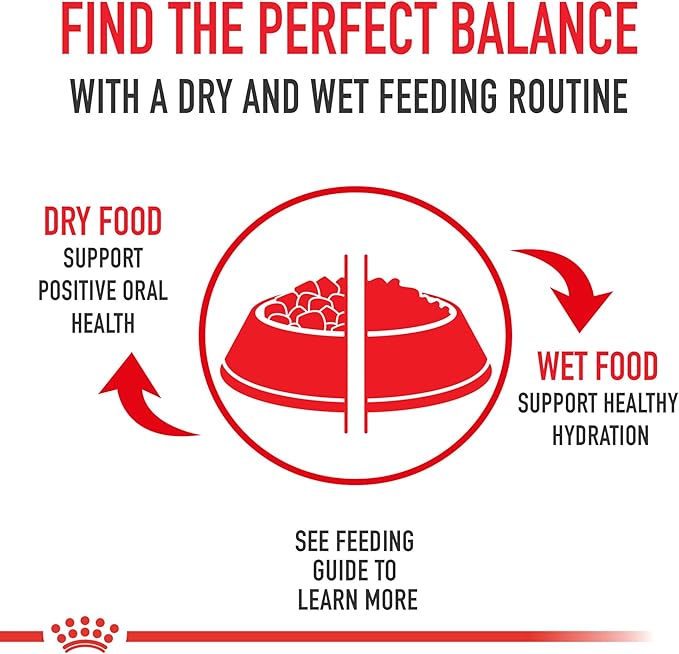 Royal Canin Feline Health Nutrition Dry Indoor Cat Food, Supports Healthy Weight, Digestive Health and Hairball Management, 3 lb Bag