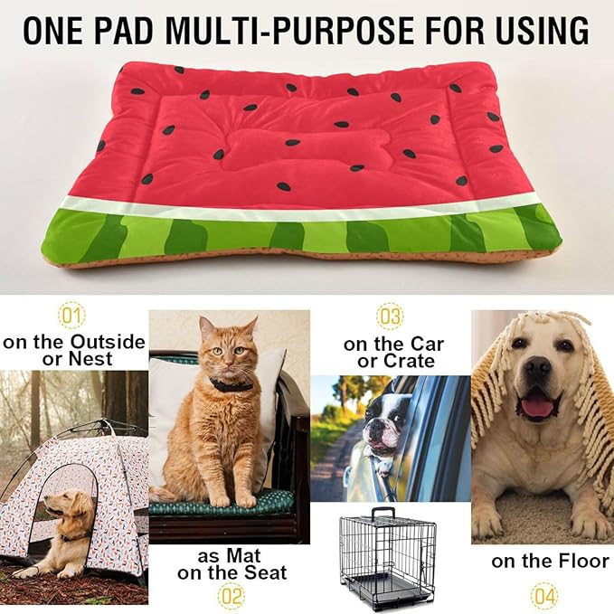 Watermelon Fruits Pet Bed Cute Dog Bed Mat Absorbing Non Slip Pad Pet Sleeping Mat for Small, Medium, and Large Dogs Puppy Cat 24 in x 18 in