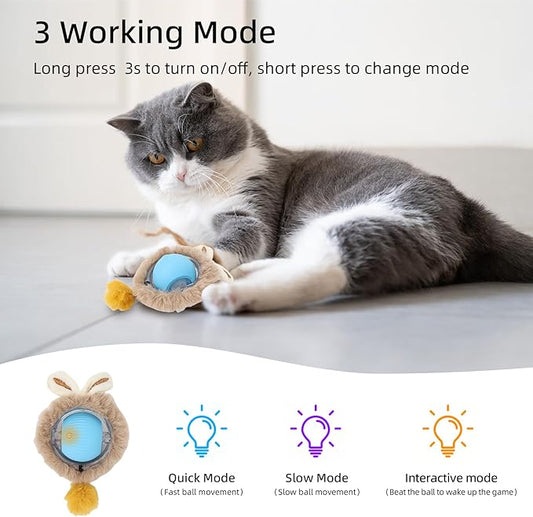 ETACCU Cat Toys,Interactive Cat Toys for Indoor Adult Cats, Automatic Rolling Ball Chase Mate, Stimulates Hunting Instincts, Hide and Seek Mouse Catching Game, 2 Speed for Adult Cats and Kittens