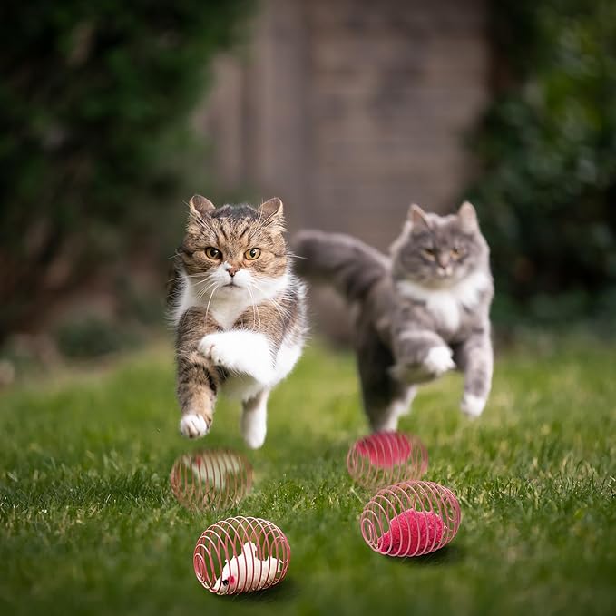 Jecery 5 Pcs Cat Spring Balls Stretchable Springs Toys Rolling Balls Colorful Playful Coils Interactive Spring Action Toy Caged Rats for Kitten Cat Pet Supplies Indoor (Mouse,Pink)