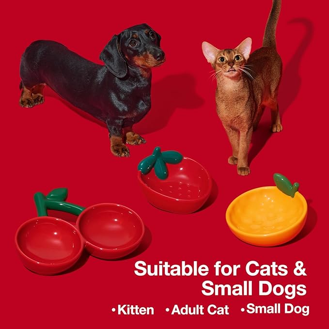 VETRESKA Ceramic Pet Bowl Tilted Design Pet Feeder for Food and Water Anti Vomit Cat Bowls for Indoor Cats Cute Strawberry Cat Bowl Dishwasher Safe