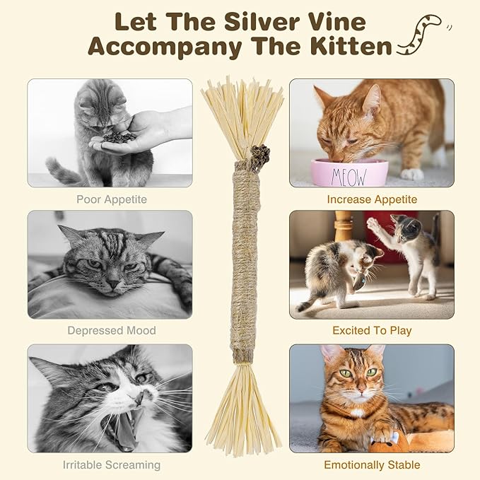 4 Pack Silvervine Sticks for Cats - Cat Chew Toy for Teeth Cleaning, Edible Matatabi Kitty Chew Sticks, Catnip Cat Toys for Indoor Cats