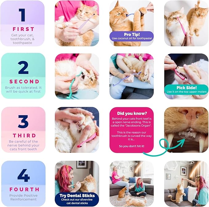 RYERCAT Set of 2 Dual Sided Cat Toothbrush - Kitten Toothbrush with Micro Head to fit into Cat/Kittens Mouth - Cat Dental Care Supplies - Pet Toothbrush for Cats(Amethyst Purple & Ocean Blue)