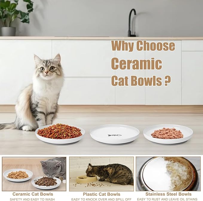 Shallow Ceramic Cat Bowls, 5.9 Inch Wide Cat Dishes Whisker Friendly, 3 Pack Pet Food and Water Plates with Non Slip Mats