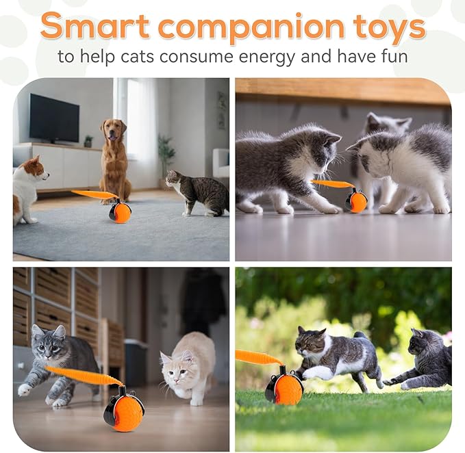 Interactive Cat Toys Indoor,Automatic Moving Pet Cats Ball,Chaseing Hunting Toy for Kitten, Cat Mouse Tail Toy,3 Stimulating Modes and USB Recharge(2 Tails) Orange