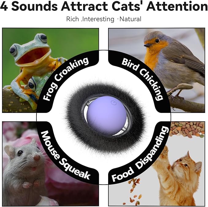 ORSDA Cat Toys for Indoor Cats, Interactive Activated Moving Ball in 7 Holes Mat, Automatic Fast Rolling Ball, Hide and Seek Toys for Adult Cats, Exercise Kicker Mouse Catching Game