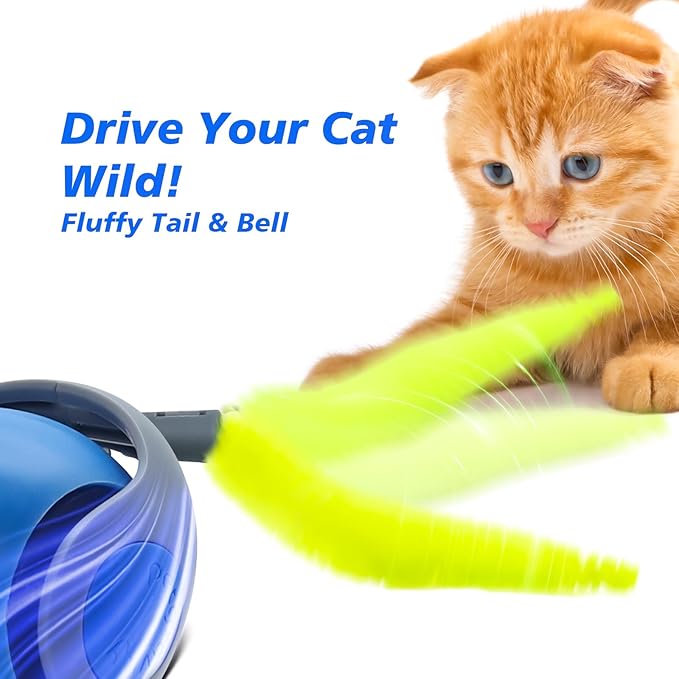 Interactive Cat Toy for Indoor Cats, Speedy Ball with Tail, Automatic Moving Cat Balls for Bored Indoor Adult Cats, 360°Automatic Rolling Ball Toy, Two Speed Adjustment（Blue）