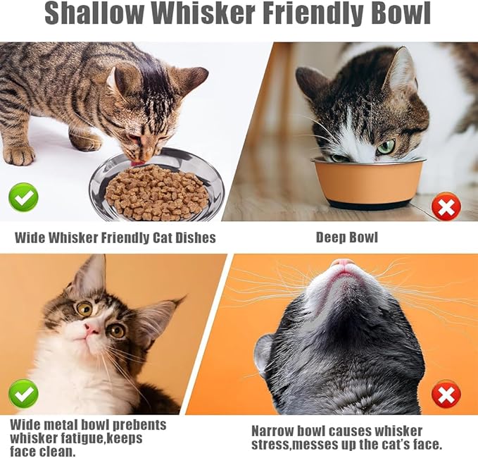 Stainless Steel Cat Bowls Food Dishes for Indoor Cats Cats Shallow Whisker Friendly 6.4Inches Cat Food Water Dishes Bowls Whisker Fatigue Relief Dishwasher Safe 2Pcs