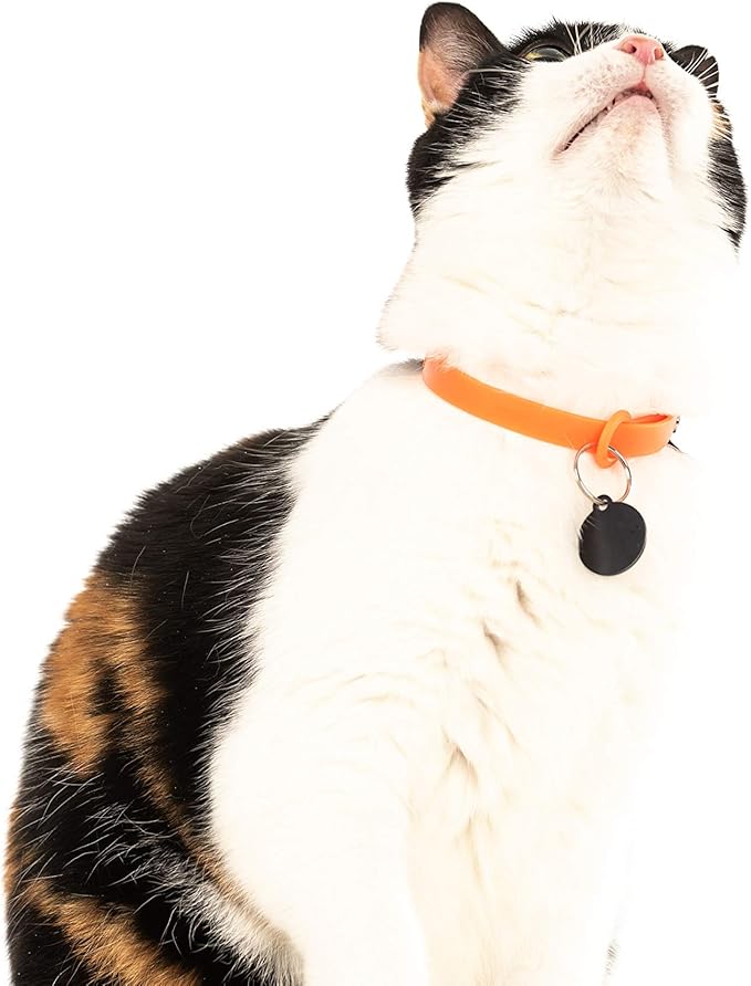 Rubber Cat Collar - Soft, Comfortable, and Lightweight Breakaway Collar with Name Tag Ring for Outdoor Cats and Sensitive Skin Kittens by Nuvuq (6 ⅞" to 10 ¼", Orange)