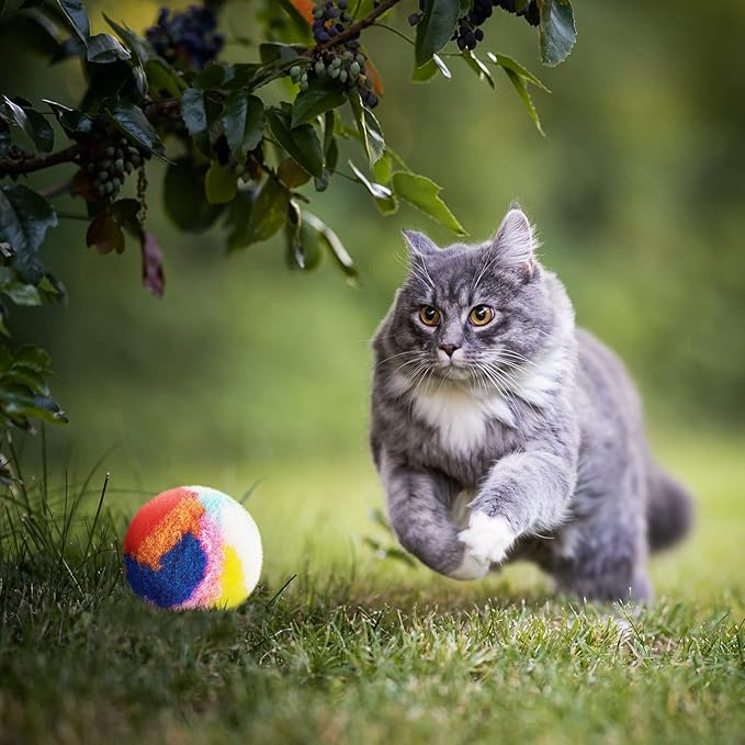 Deekin 20 Pcs Cat Pom Pom Balls Toy Kitty Yarn Puffs Assorted Color Small Plush Soft Balls Fuzzy Kitty Toy for Pet Cat 1.6 Inch in Diameter