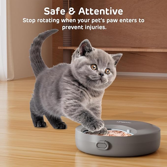 iPettie Zharko Four Meals Automatic Wet Food Feeder - True 4 Meal Design with Locking Lid, Smart Cat Timer Automatic Feeder for Wet Cat Food, Two Ice Packs, Easy to Clean & Portable Design