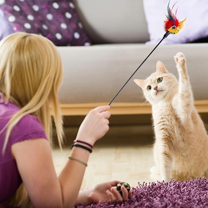 Cat Feather Toys, Cat Toy with Elastic Turkey Feathers, Interactive Teaser Wand with Bell, Durable Flexible Rod for Playful Kittens and Cats, Indoor Entertainment for Pets (2")