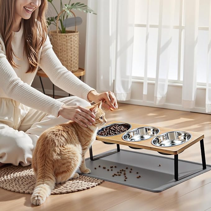 Elevated Cat Food Bowls with Mat Whisker Friendly, 15°Tilted Raised 3 Stainless Steel Cat Water Dishes Set for Anti Vomit, Pet Holder Stand Feeding Station for Indoor Kitten and Puppy