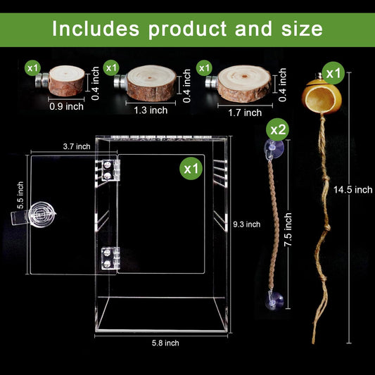 Spider Terrarium Kit, Jumping Spider Enclosure with Hideout, Rope Bridge, Ledge Ladder, Micro Habitat Terrarium for Small Tree Dwelling Reptiles, Arboreal Tarantula Enclosure (6x6x9 Inches)