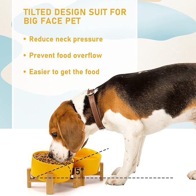 SPUNKYJUNKY 15° Slanted Ceramic Dog and Cat Bowl with Wooden Stand, Tilted Bulldog Food and Water Bowl No Slip Non-Spill for Cats Medium Dogs Big Face Pets 28.7 OZ (3.6 Cups, Yellow × 2)