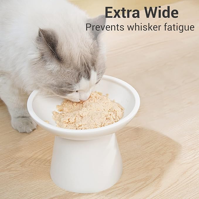 Extra Wide Elevated Ceramic Cat Bowl, 6.2" Shallow Dish for Whisker Fatigue Relief, 5" Height for Easy Feeding, Durable Raised Cat Food Bowls, Pack of 2, White