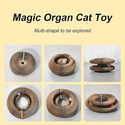 Kitty Kurlz Cat Toy, Magic Organ Cat Interactive Scratcher Cardboard with Bell Ball, Foldable & Changeable Accordion Shape Exercise Anxiety Relief Toy for Indoor Cats(1PCS)