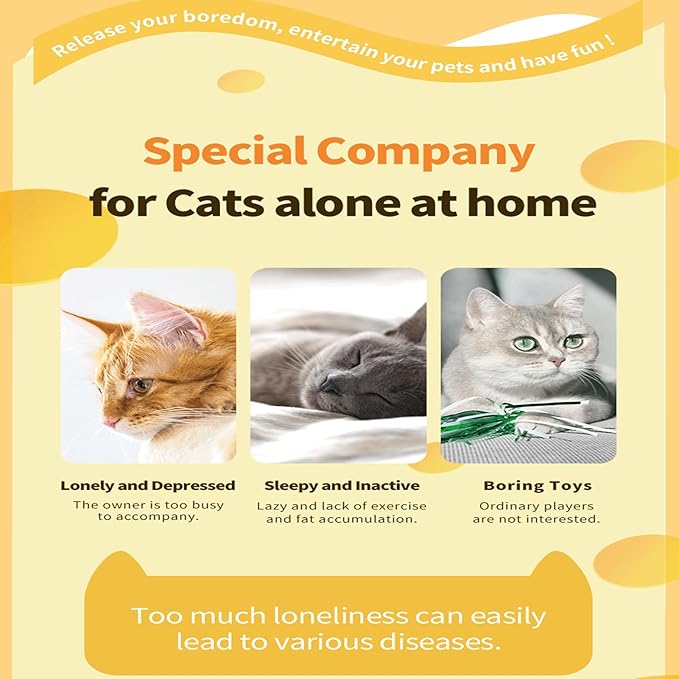 Cat Puzzle Toy, Automatic Cat Toy Feather Rotation in 16 Holes Maze, Interactive Cat Toys for Indoor Cats, Cat Feather Toy with Intelligent Sensing, New Upgrade Whack A Mole Kitten Game