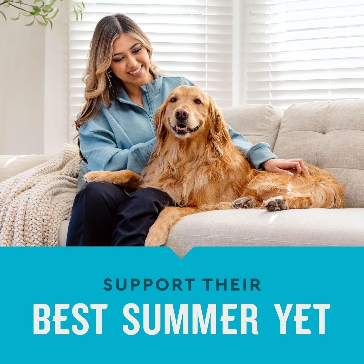 VetIQ Hip & Joint Health Supplement for Dogs, with Glucosamine, Chondroitin & MSM, Chewable Tablets for Dogs, Chicken Flavor, 60 Count