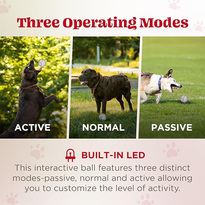 Wicked Ball - Smart Interactive Dog Ball for Solo Play - Electronic Self-Moving Dog Toys for Boredom - Rechargeable, Motion Activated - 35"