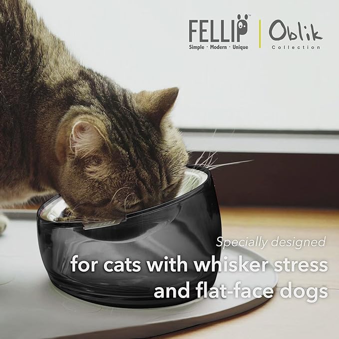 Felli Pet Oblik Whisker Fatigue Cat Food Bowl Raised Stainless Steel Shallow Dish, Pet Friendly Design Anti Vomit Tilted Metal Plate Feeder Elevated Acrylic Base for Treats Storage (0.5 Cups, Smoky)