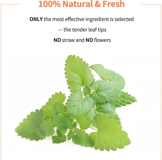 Premium Catnip for Cats & Kittens – Cold-Processed, High Potency Nepetalactone, 100% Pure Leaf-Only Catnip for Toys, Scratchers, Refills, Stimulates Play & Protects Furniture - 10g