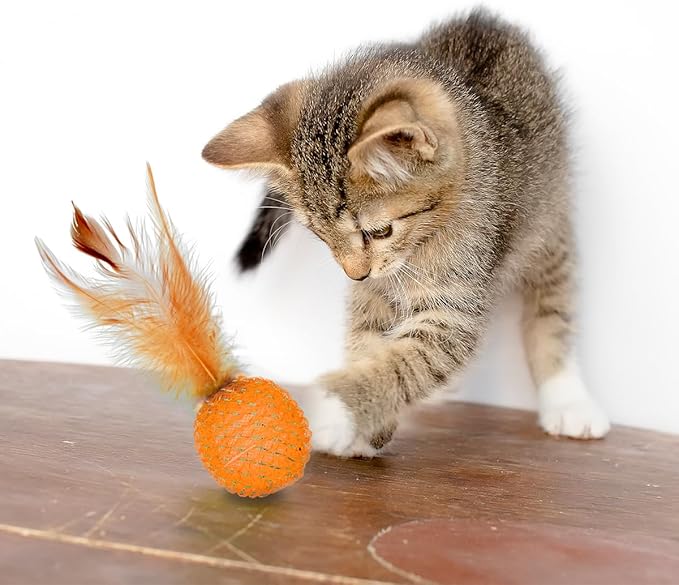 PET SHOW 10 Pack Cat Toys - Woolen Yarn Cat Balls, Interactive Mesh Feather Ball, String Toy for Indoor Cats, Chase Training Activity for Kittens
