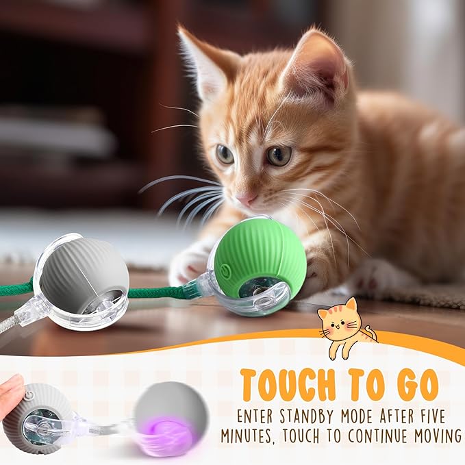 6 Pack Interactive Cat Ball Toy 360° Automatic New Interactive Rolling Ball 2025 Rechargeable for Indoor Cat Dog Exercise Electric Self Rolling Toy for Large and Small Puppy Kitten