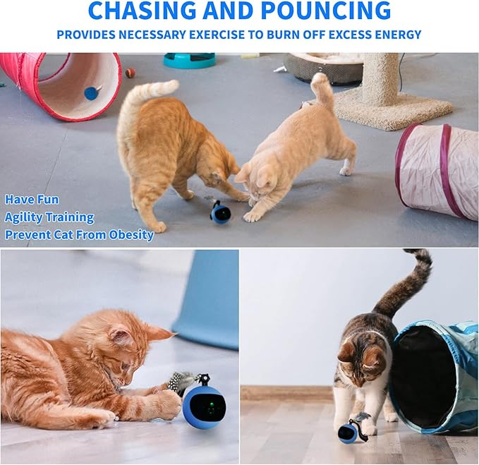Interactive Cat Toy Ball with Remote Control, Automatic Moving & Rolling Cat Feather Toy, USB Rechargeable, Motion Activated Remote Control Cat Toy for Indoor Cats (Blue)