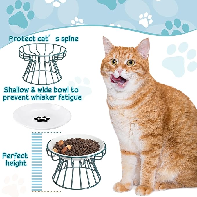 Roshtia 4 Sets Elevated Cat Bowls Ceramic Raised Cat Food Bowls with Metal Stand Dishwasher Safe Dishes Non Slip Elevated Food Plate(Green,Paw)