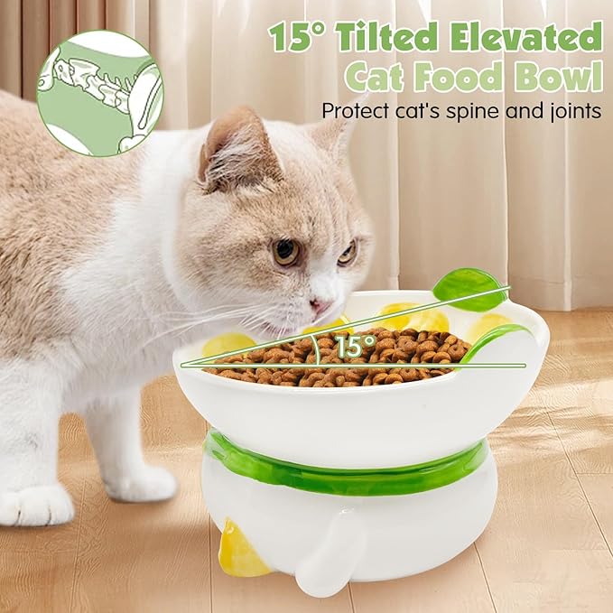 Kathson Ceramic Elevated Cat Bowl, 15 Tilted with Stand - Lemon Shaped, Anti Vomiting, Small Cat Bowl