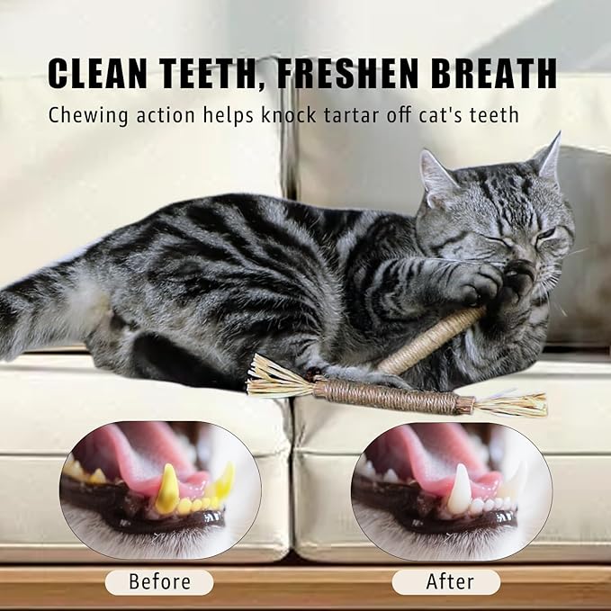 Pet Hair Removal Glove for Furniture, Carpet, Clothes and Car Seats, Electrostatic Cat & Dog Hair Removal Tool, Eco-Friendly Reusable Pet Hair Remover Glove with Silvervine Sticks (1 Glove & 2 Sticks)