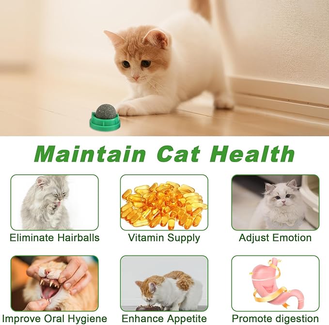 KIMOBER 6 Pack Catnip Ball for Cats,Edible Kitten Chew Toys with Catnip Silvervine Gall Fruit Flavors for Cats Lick Dental Teeth Cleaning Cats Wall Treats