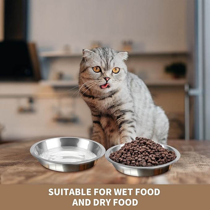 HUOIQUE 10 Pcs 6.2 Inches Stainless Steel Cat Bowls, Whisker Fatigue Cat Bowl for Food and Water, Metal Shallow Cat Dishes