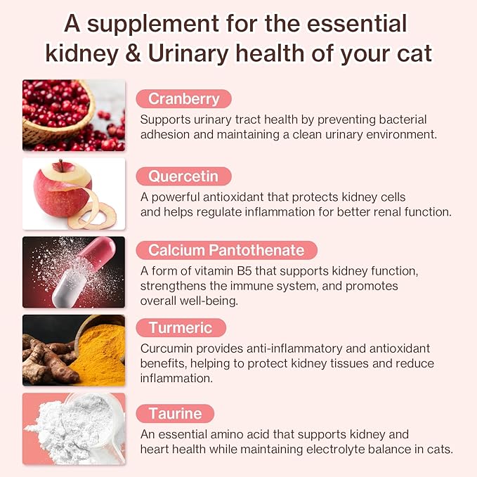 Dr.by UT Care Cat UTI Kidney Support Urinary Supplement Cranberry Treatment for Cats Renal Health with Pacran, Quercetin, Taurine lickable Formula Individually Packaged (1 Pack)