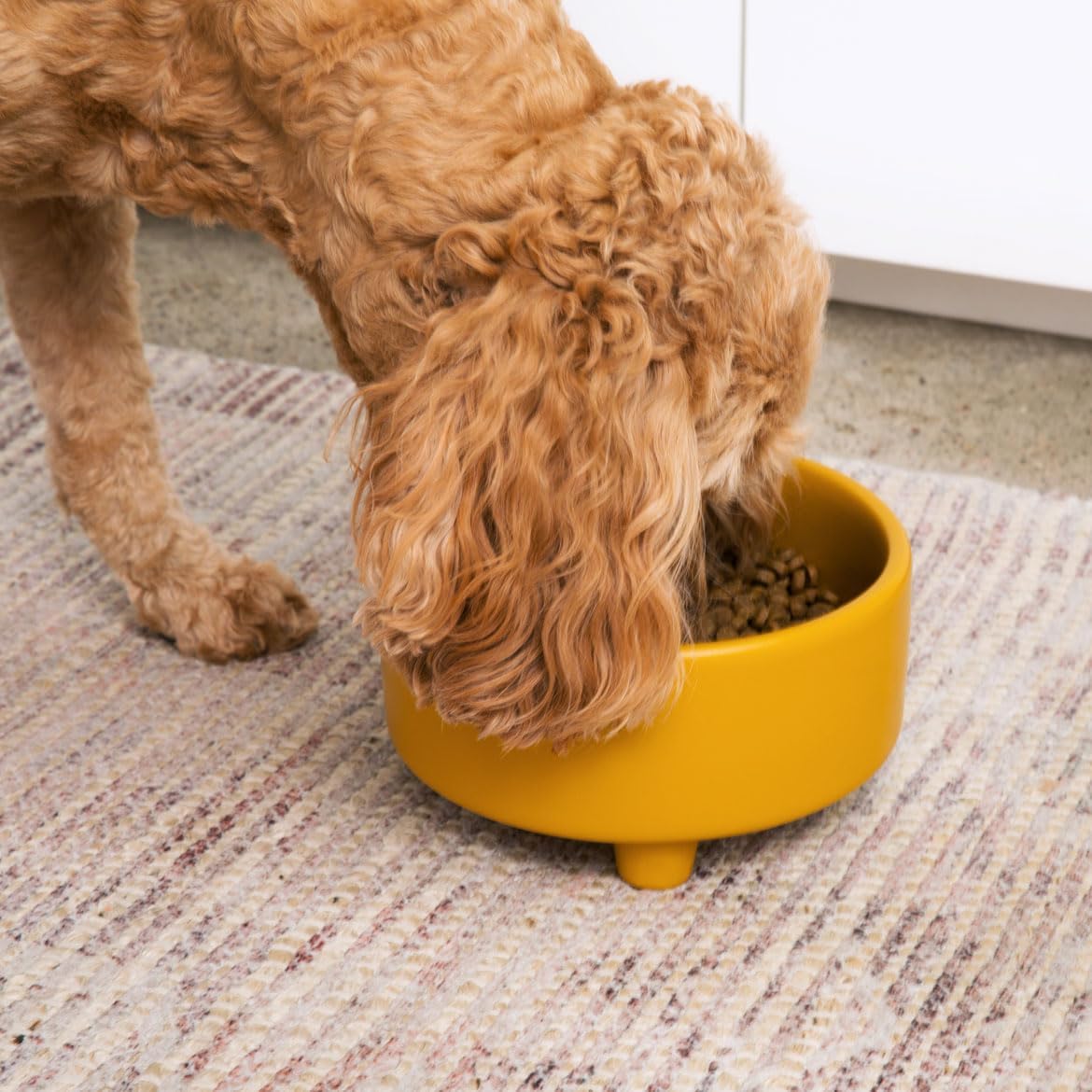 Waggo Uplift Ceramic Dog Bowl for Small Medium and Large Breeds - Heavyweight and Durable Pet Food and Water Dish Crock, Dishwasher Safe, Modern, Elevated Feeder (Mustard, Small)
