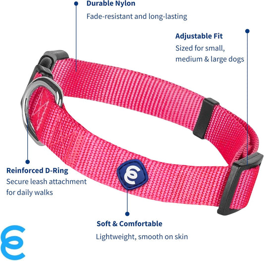 Blueberry Pet Essentials Small Dog Collar in French Pink | Adjustable & Eco-Friendly Durable Nylon Strap | Classic Collar for Small Dogs, Boy & Girl Pets