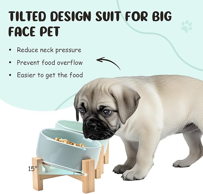 SPUNKYJUNKY 15° Slanted Ceramic Dog and Cat Bowl with Wooden Stand, Tilted Bulldog Food and Water Bowl No Slip Non-Spill for Cats Medium Dogs Big Face Pets 13.5 OZ (1.7 Cups, Morandi Green × 2)