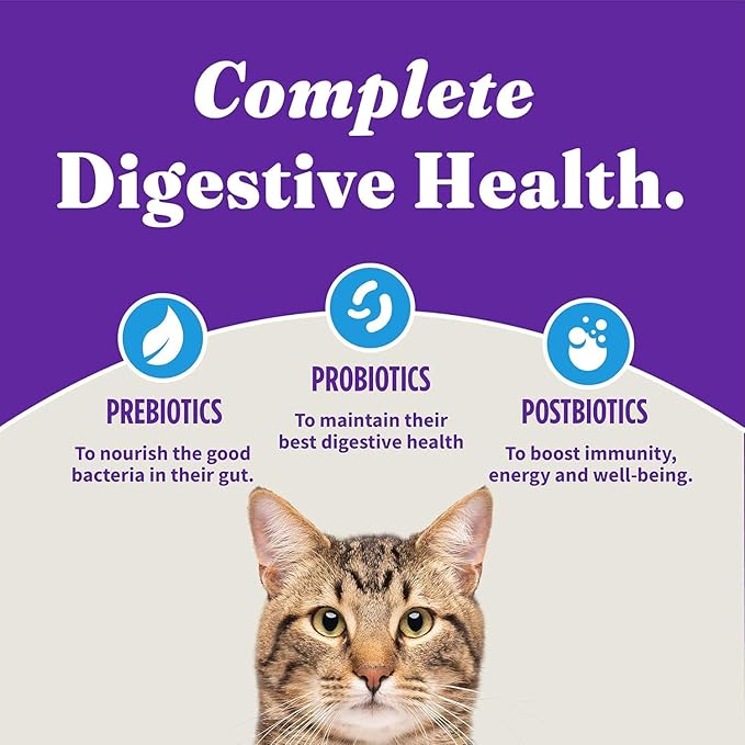 Halo Holistic Cat Food Wild Caught Salmon & Whitefish Formula, Healthy Grains Dry Cat Food, For Sensitive Stomach Support, Kibble for Adult Cats, 3 lb Bag