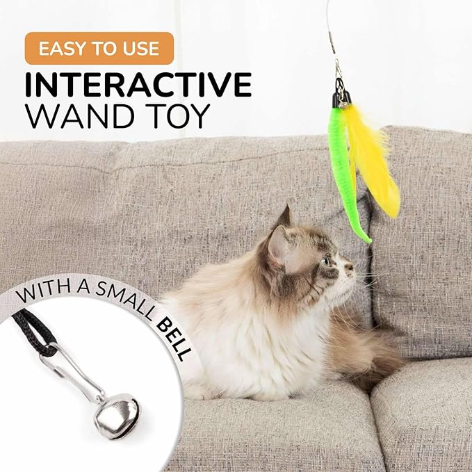 PAWSITIVE Interactive Cat Toys - Retractable Feather Wand with Refill Set 12PCS - Perfect for Indoor Cats to Chase, Exercise & Bond with Their Owners