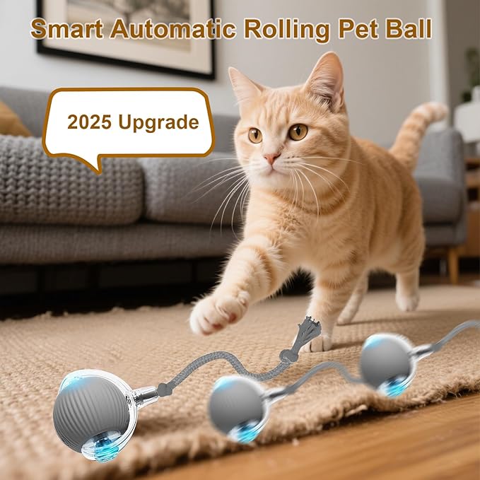 Interactive Cat Toy, 2025 New Interactive Rolling Cats Dog Toy Balls 360° Smart Automatic Rolling Pet Ball, Fast Moving Toy for Dog,Cat Ball Toy (Grey)
