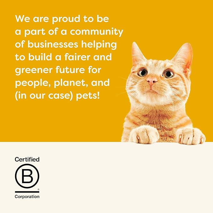 Applaws Natural Wet Cat Food in Broth, Limited Ingredient Canned Wet Cat Food, No Additives, Made with Natural Ingredients, Chicken Breast & Tuna Fillet in Broth (24 x 5.5oz Cans)