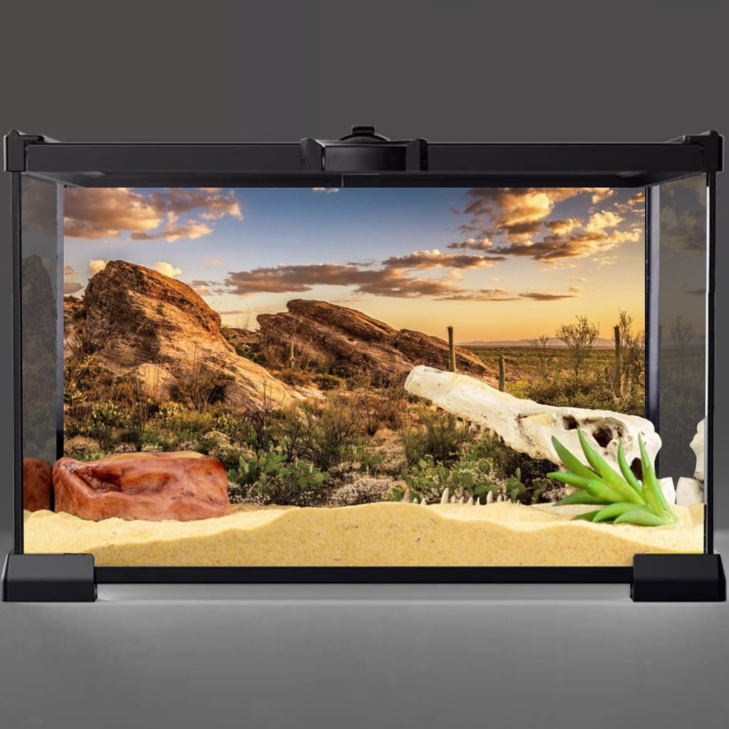 AWERT Reptile Habitat Background Blue Sky Oasis Cactus Sun and Desert Terrarium Background 48x18 inches Durable Polyester Background