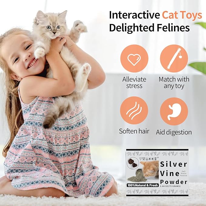 Cat Toys - Silvervine Powder 75g with 5 Little Pouches (Upgrade), Catnip Alternative, 100% Natural Silver Vine Gall Fruit Powder, Matatabi Cat Toy, Suitable for All Cat Ages