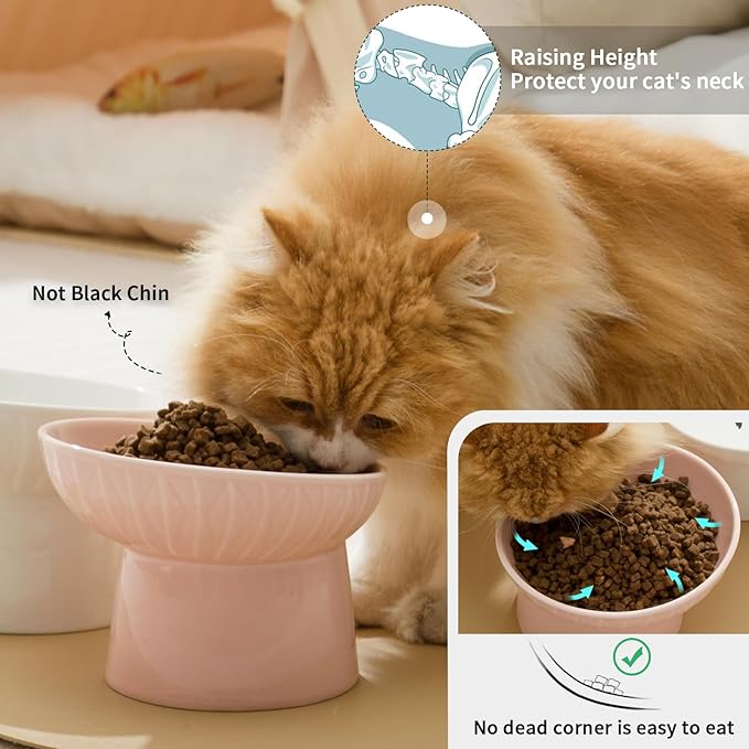 OMAYKEY 6.5 Inch Extra Wide Ceramic Raised Cat Bowls, Porcelain Tilted Elevated Cat Food Water Bowl Dish, Stress Free Pet Feeder Dishes for Cats & Small Dogs, Whisker Fatigue, White & Pink