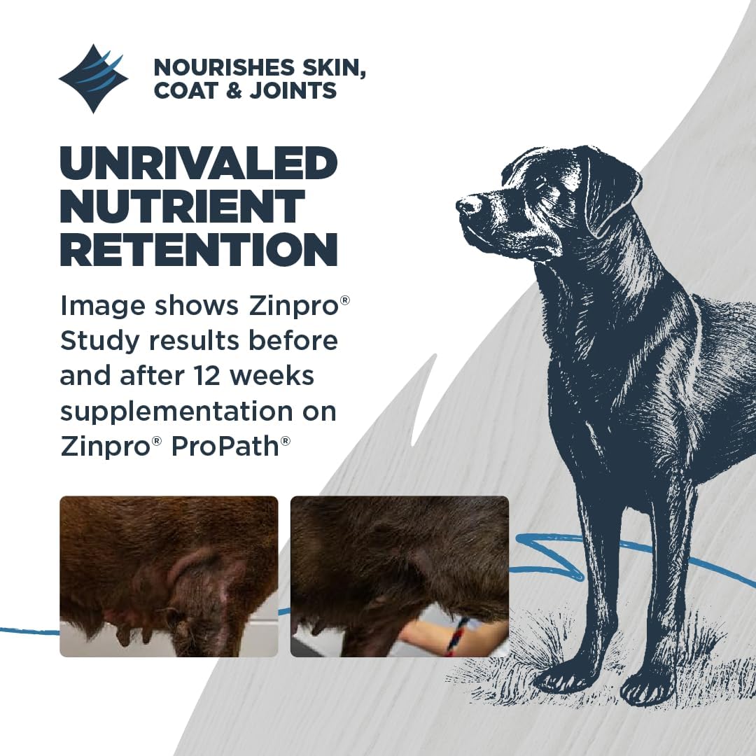 Blackwood Sensitive Skin & Stomach Dry Dog Food, Catfish Meal & Brown Rice with Ancient Grains, 10 Pound Bag with Prebiotics & Probiotics to Promote Gut Health