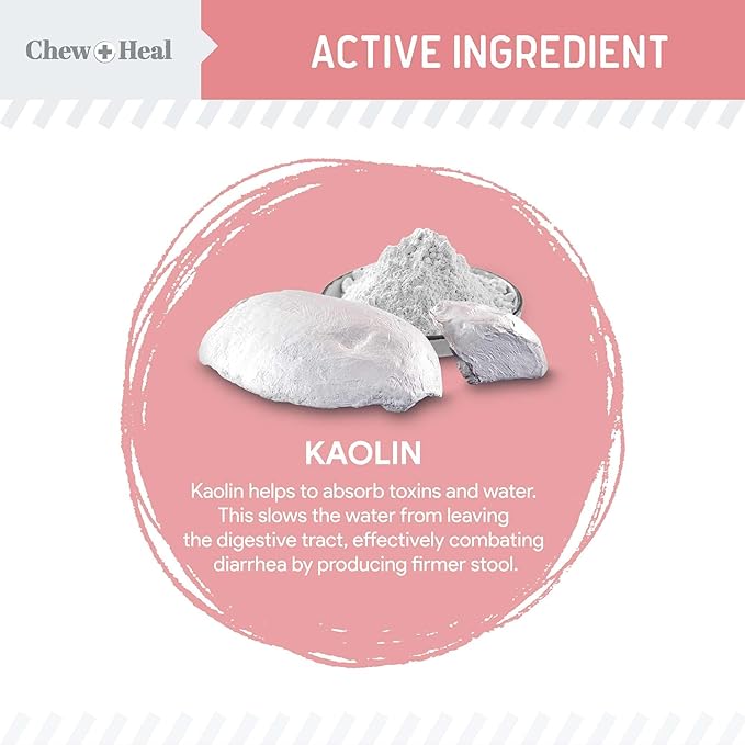 Chew + Heal Labs Anti Diarrhea for Dogs 2oz - Fast Relief Liquid Dog Diarrhea Supplement with Kaolin Pectin Formula - Effective Diarrhea Treatment and Dog Health Upset Stomach Supplement