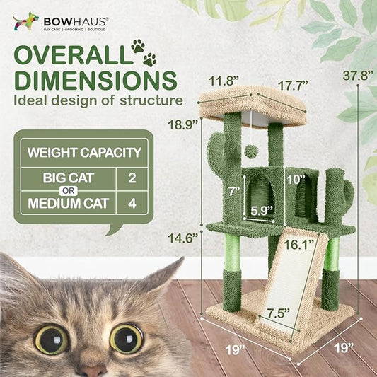 CAPHAUS Cactus Cat Tower for Indoor Cats, Cute 37-Inch Small Cactus Cat Tree w/Widened Perch for Large Cats & Kittens, Multi-Level Cat Activity Tree w/Scratching Posts & Ramp, 2-Door Cat Cave Condo